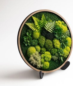 DUBLEZ | Drevený obraz s 3D efektom machu - Papradie