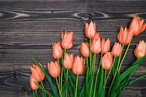 Fototapeta oranžové tulipány na drevenom podklade - 450x300