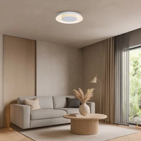 Stropné LED svietidlo Piattino, 1x LED 30w, 3000-6000k, w