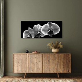 Obraz kvetu orchidey (120x50 cm)