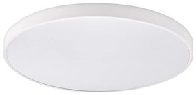 Top Light - LED stmievateľné kúpeľňové stropné svietidlo PETAL LED/60W/230V IP44 priemer 59 cm biela + DO