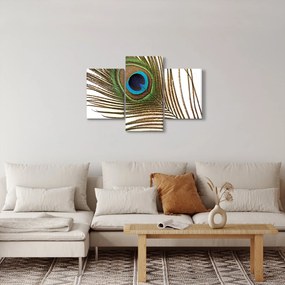 Obraz pávieho peria (90x60 cm)