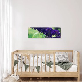 Obraz modrej kvetiny (s hodinami) (90x30 cm)