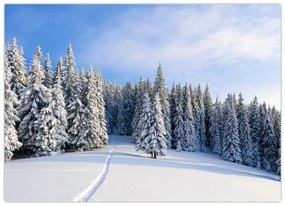 Obraz - Zima v lesoch (70x50 cm)