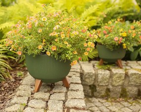 PLASTOVÝ KVETINÁČ ROSA LINEA ECO SADA 2KS 15X24,3 CM+18,3X29,2 CM ZELENÁ