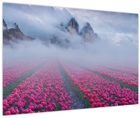 Obraz - Krajina s tulipánovými poľami (90x60 cm)