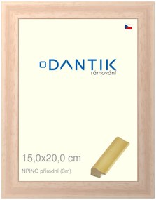 DANTIK rám na obraz 15x20 | NPINO přírodní (Sklo Čiré)