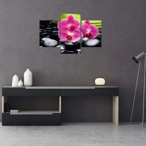 Obraz - Ružové orchidey s palmovým listom (90x60 cm)