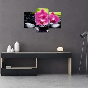 Obraz - Ružové orchidey s palmovým listom (90x60 cm)