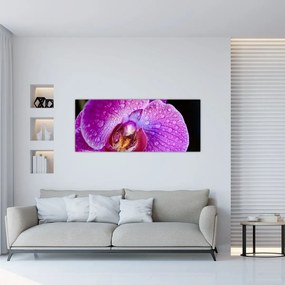 Detailný obraz kvetu orchidey (120x50 cm)