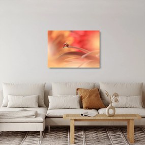 Sklenený obraz kvetinové kvapky rosy (70x50 cm)