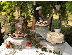 BAMA Servírovací otočný tanier s poklopom Barva: hnědá