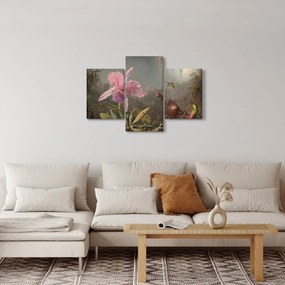 Obraz - Martin Johnson Heade, Cattleya Orchid and Three Hummingbirds, reprodukcia (90x60 cm)