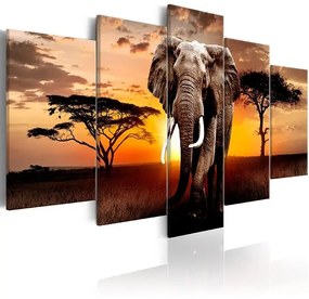 Obraz - Elephant Migration Veľkosť: 100x50, Verzia: Na talianskom plátne
