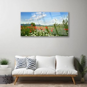 Skleneny obraz Lúka kvety príroda 140x70 cm