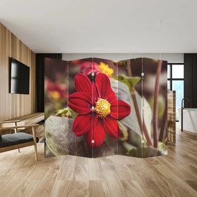 Paraván - Kvetina (210x170 cm)
