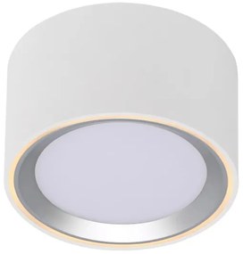 Nordlux - LED Stmievateľné stropné svietidlo FALLON LED/5,5W/230V