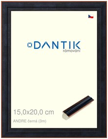 DANTIK rám na obraz 15x20 | ANDRE černá (Sklo Čiré)