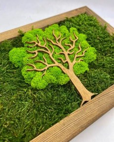 Obraz Strom z machu 20x30 cm