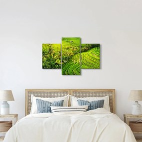 Obraz - Ryžové terasy (90x60 cm)
