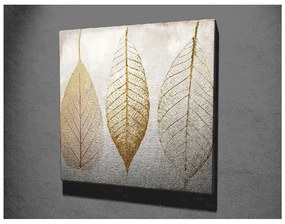 Obraz na plátne Reece, 45 × 45 cm