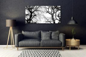 Obraz plexi Stromy príroda čiernobiely 120x60 cm