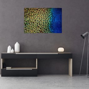 Obraz - Pávie perie (90x60 cm)