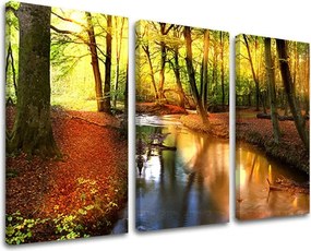 Obraz na stenu STROMY