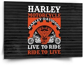 Sablio Obraz Harley-Davidson Live to ride, ride to live - 150x110 cm