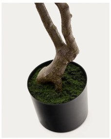 Umelá rastlina (výška 180 cm) Pachira – Kave Home