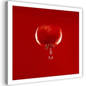 Obraz na plátně Zeleninová voda z červených rajčat - 50x50 cm