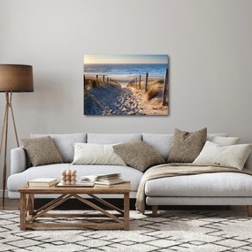 Obraz - Cesta k pláži Severného mora, Holandsko (70x50 cm)