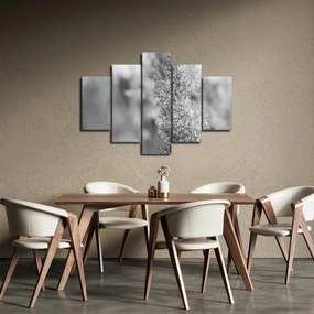Obraz - Boho pampas grass (150x105 cm)