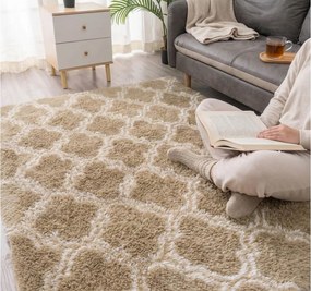 TZ Béžový vzorovaný koberec shaggy Decor Latern Rozmer: 80x150 cm