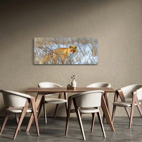 Obraz - Lišiak (120x50 cm)