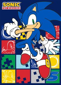 Dětská fleecová deka Polar JEŽEK SONIC 100x140 cm modrá