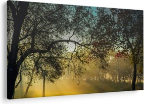 Obraz východu slnka (90x60 cm)