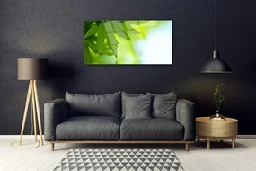 Obraz na skle Listy príroda rastlina 100x50 cm