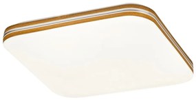 Rabalux 71174 - LED Stropné svietidlo OSCAR LED/18W/230V 4000K 33x33 cm