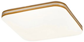 Rabalux 71174 - LED Stropné svietidlo OSCAR LED/18W/230V 4000K 33x33 cm