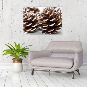 Sklenený obraz - Šišky (70x50 cm)