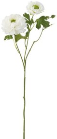 Biela kytička Iskerník - 56cm