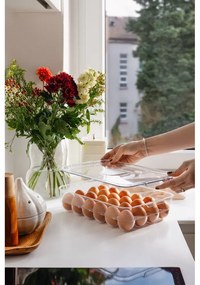 Plastový organizér do chladničky na vajíčka 33x21 cm – Casa De Engel