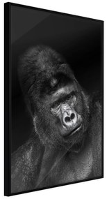 Artgeist Plagát - Gorilla [Poster] Veľkosť: 20x30, Verzia: Čierny rám