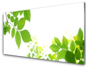 Obraz plexi Plátky rastlina príroda 100x50 cm