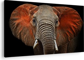 Obraz - Slony z Tsavo (90x60 cm)