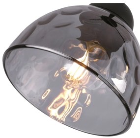 Závesné svietidlo Venice Spider, 5x grafitové sklenené tienidlo