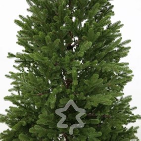 Smrek Natura 100% 180 cm