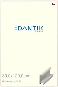DANTIK rám na obraz 80x120 | ALU Dýha slonová kost (Plexi Čiré)