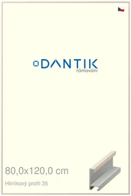DANTIK rám na obraz 80x120 | ALU Dýha slonová kost (Plexi Čiré)